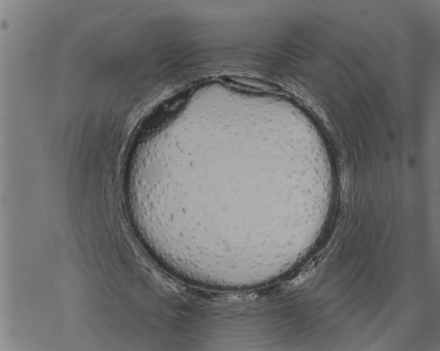 X0000078260721200612011653