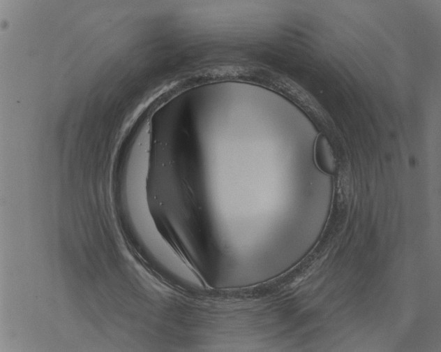 X0000078260722200612011653