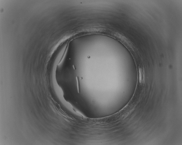 X0000078260723200612011653