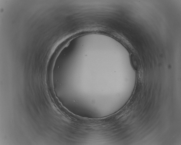 X0000078260724200612011653