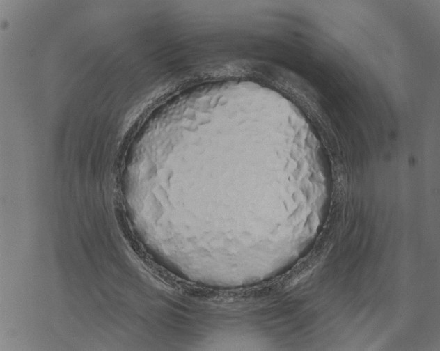 X0000078260725200612011654