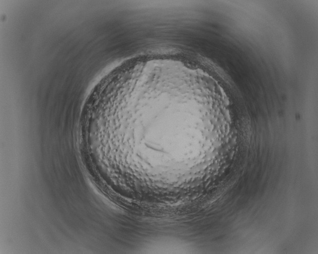 X0000078260726200612011654