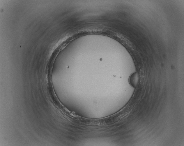 X0000078260727200612011654