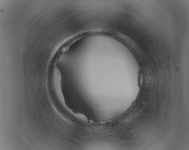 X0000078260728200612011654