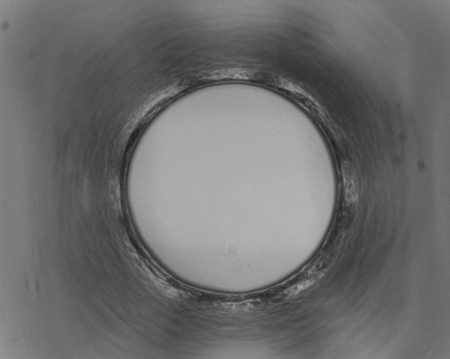 X0000078260729200612011654