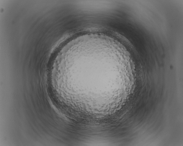 X0000078260730200612011654