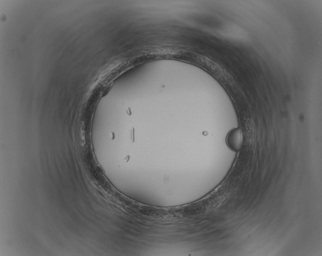 X0000078260731200612011654