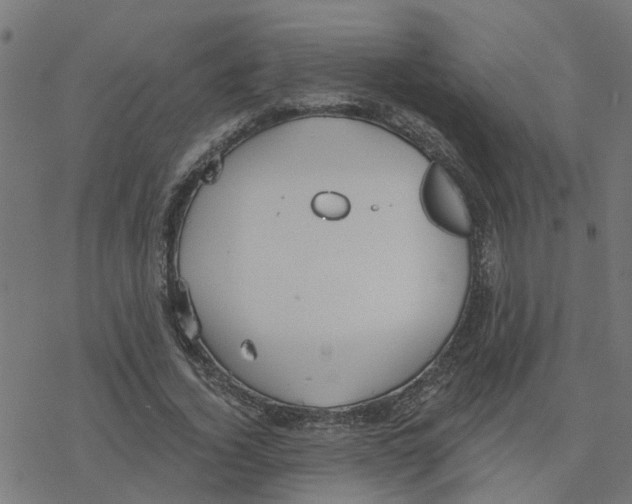 X0000078260732200612011654