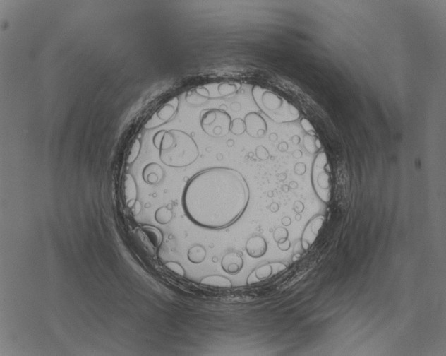 X0000078260734200612011654