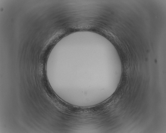 X0000078260735200612011654