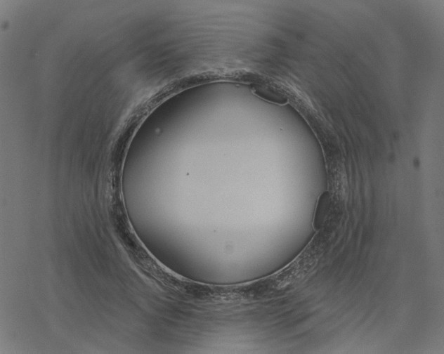 X0000078260736200612011654