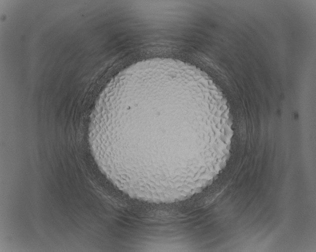 X0000078260737200612011654