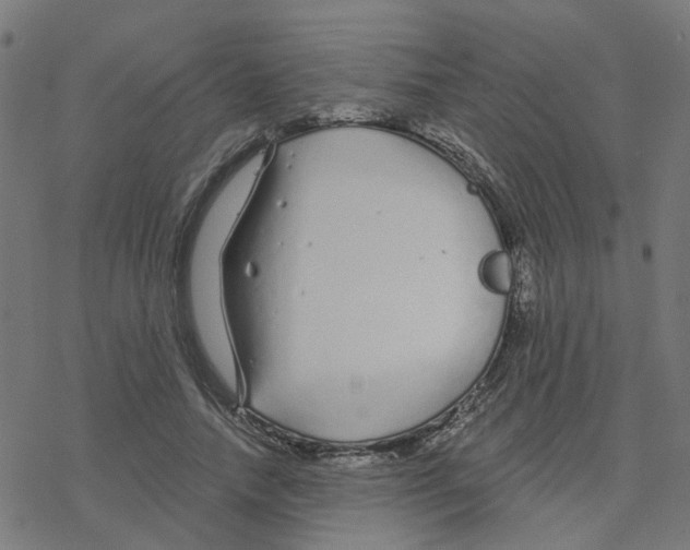 X0000078260738200612011654