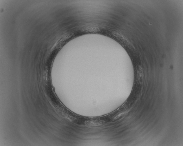 X0000078260739200612011654