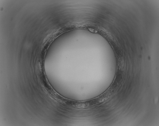 X0000078260740200612011654