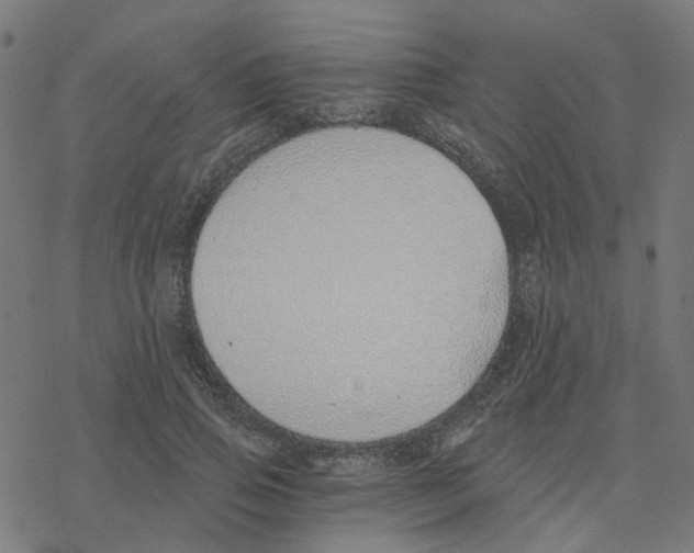 X0000078260741200612011654