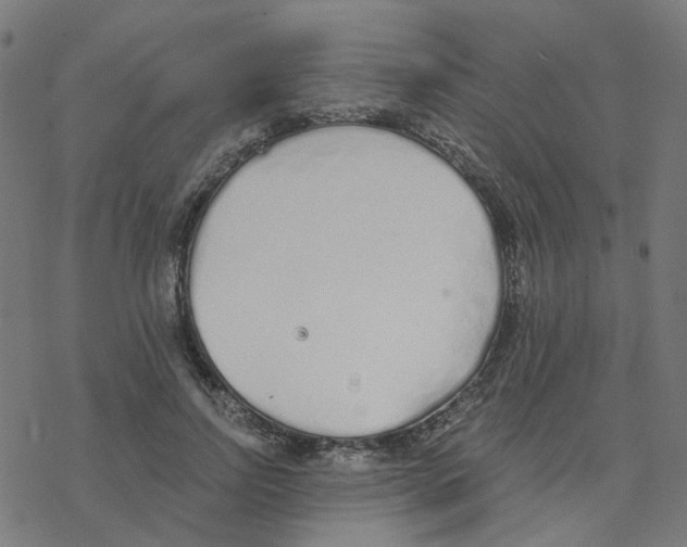 X0000078260742200612011654