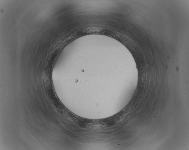 X0000078260743200612011654