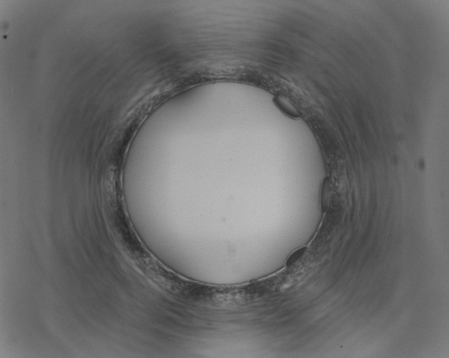 X0000078260744200612011654