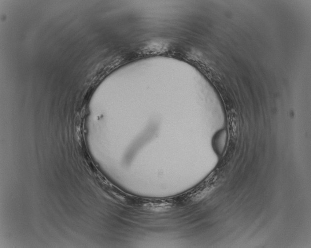 X0000078260745200612011654