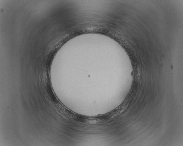 X0000078260746200612011654