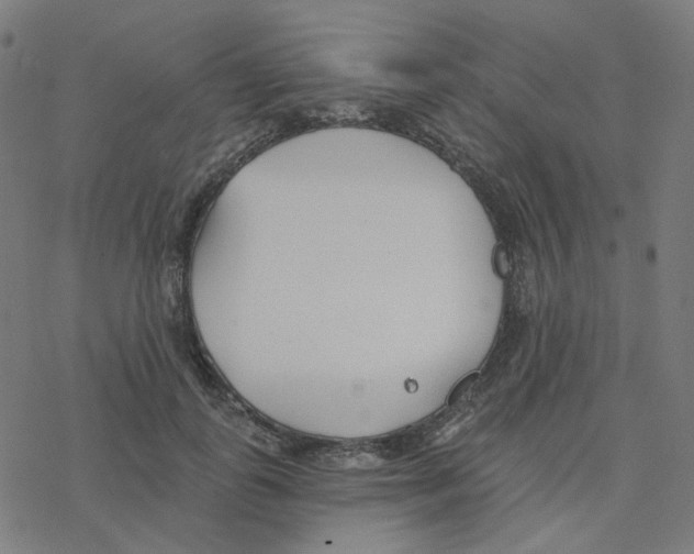 X0000078260747200612011654