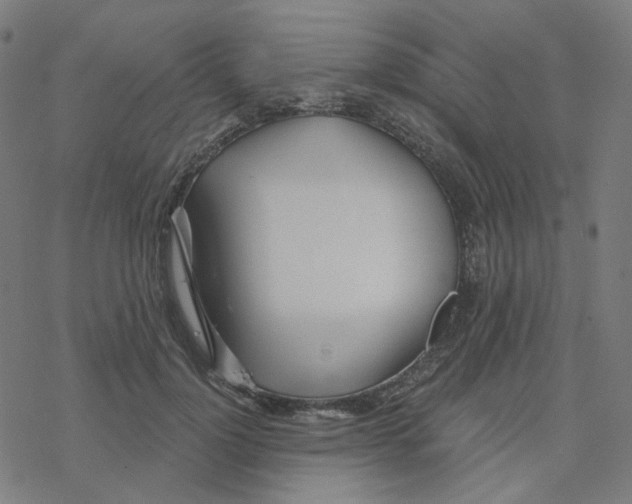 X0000078260748200612011654