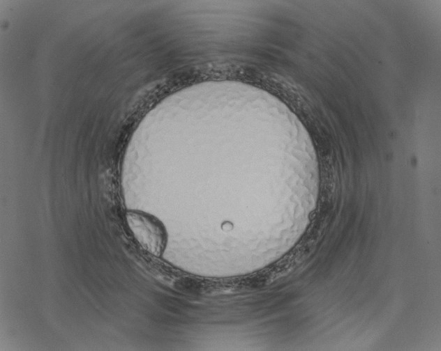 X0000078260749200612011654