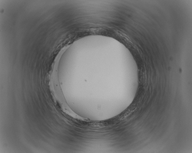 X0000078260750200612011654