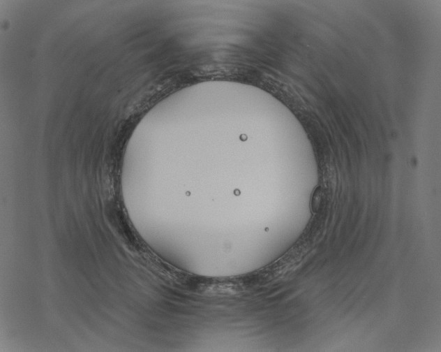 X0000078260751200612011654