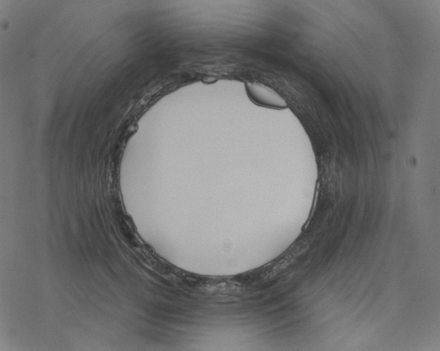 X0000078260752200612011654