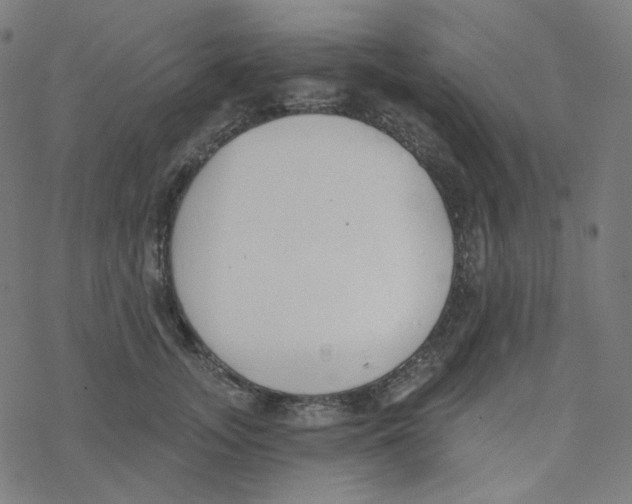 X0000078260755200612011654