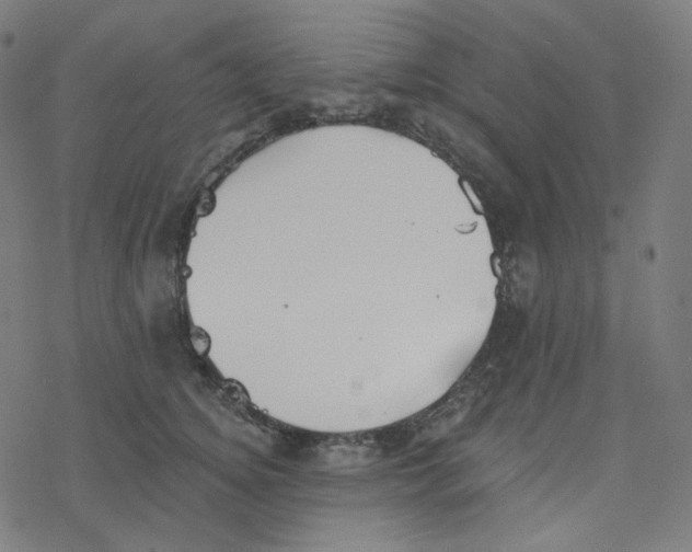 X0000078260756200612011654