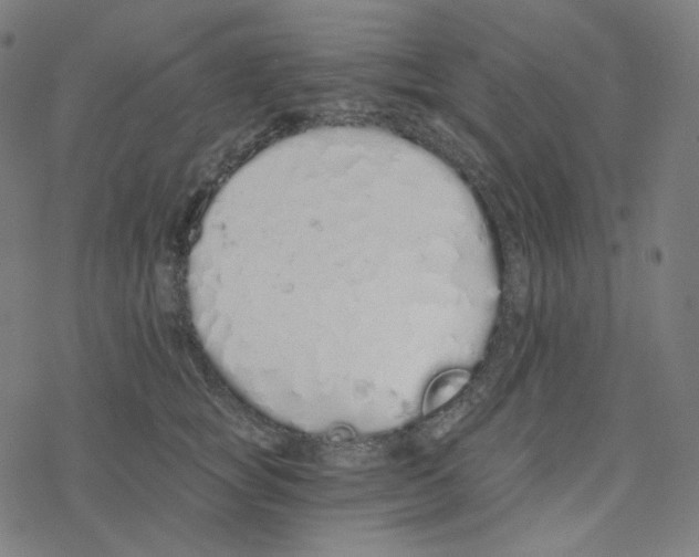 X0000078260757200612011654