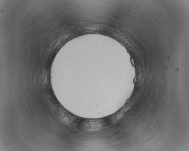 X0000078260758200612011654