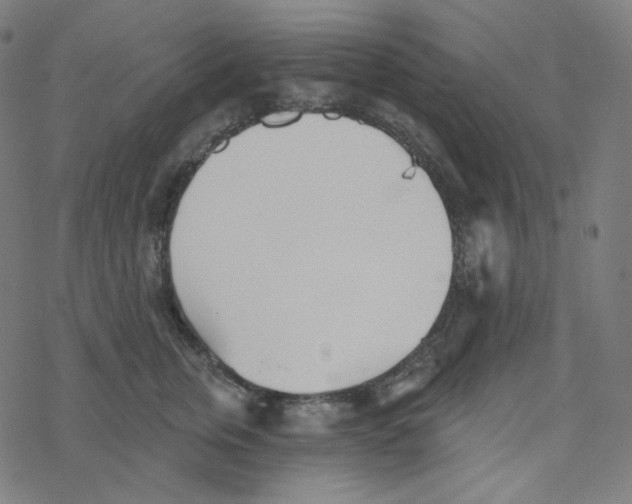 X0000078260759200612011654