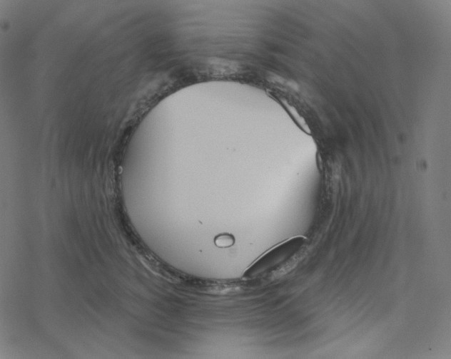 X0000078260760200612011654