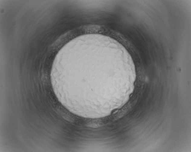 X0000078260761200612011654