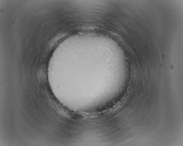 X0000078260762200612011654