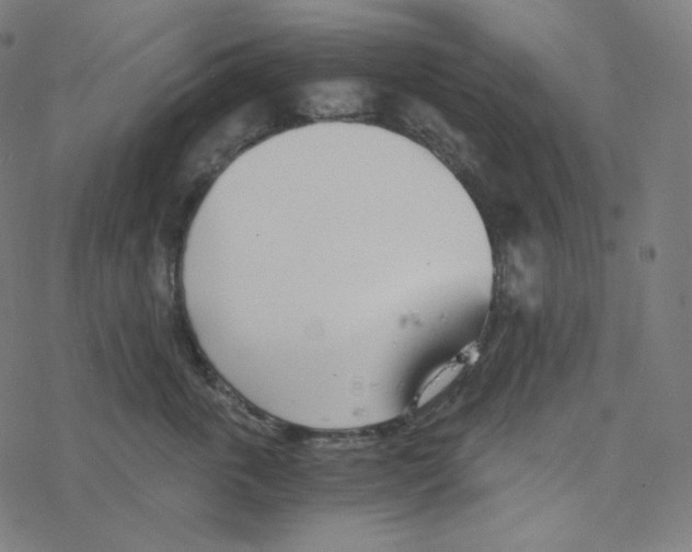 X0000078260763200612011654