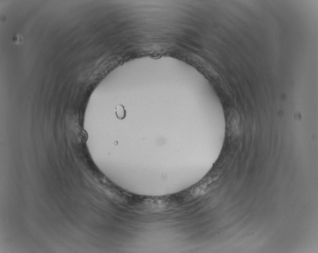 X0000078260764200612011654