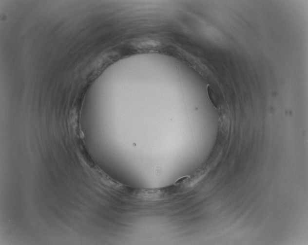 X0000078260767200612011654