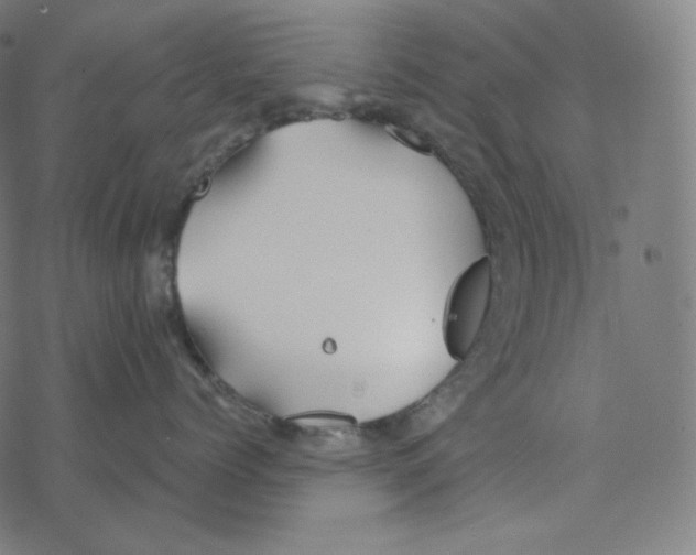 X0000078260768200612011654