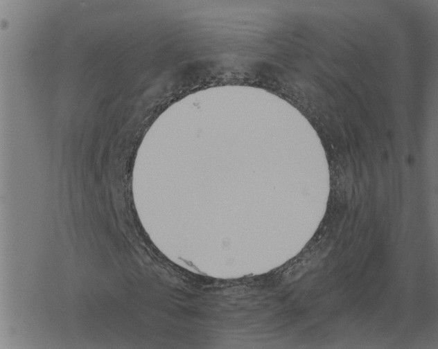 X0000078260769200612011653