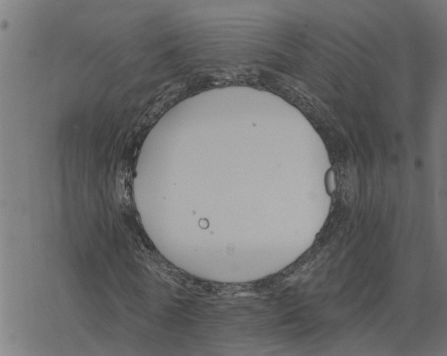 X0000078260770200612011653