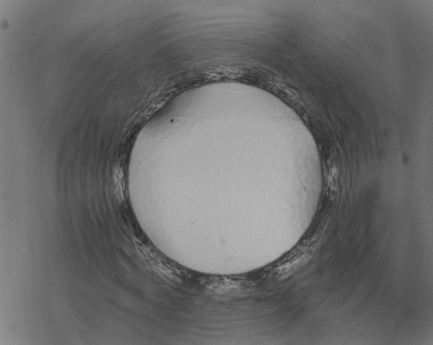 X0000078260772200612011653