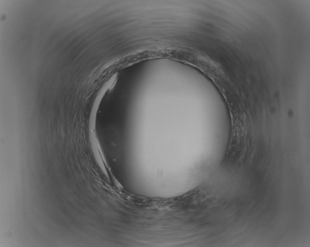 X0000078260773200612011653