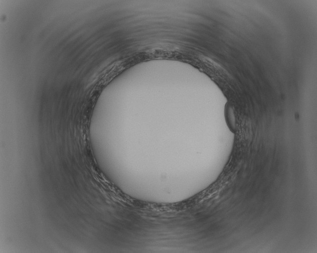 X0000078260774200612011653