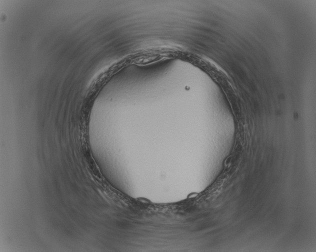 X0000078260775200612011653