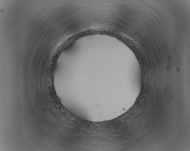 X0000078260776200612011653